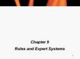 Rules and Expert Systems