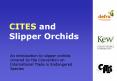 CITES and Slipper Orchids