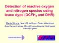 Detection of reactive oxygen and nitrogen species using leuco dyes DCFH2 and DHR