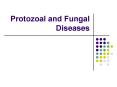 Protozoal and Fungal Diseases