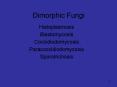 Dimorphic Fungi