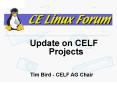 CELF Contract Work