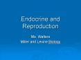 Endocrine and Reproduction