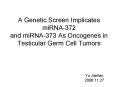 A Genetic Screen Implicates miRNA372 and miRNA373 As Oncogenes in Testicular Germ Cell Tumors