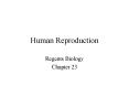 Human Reproduction