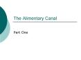 The Alimentary Canal