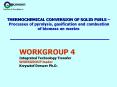 THERMOCHEMICAL CONVERSION OF SOLID FUELS Processes of pyrolysis, gasification and combustion of biom