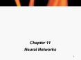 Neural Networks