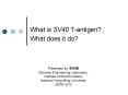 What is SV40 Tantigen What does it do