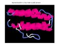 Myohemerythrin- a four helix bundle domain