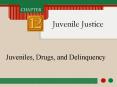 Juveniles, Drugs, and Delinquency