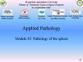 Applied Pathology