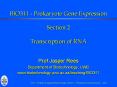 BIO311 Prokaryote Gene Expression Section 2 Transcription of RNA
