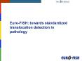 EuroFISH: towards standardized translocation detection in pathology