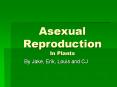 Asexual Reproduction In Plants