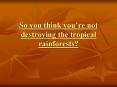 So you think youre not destroying the tropical rainforests
