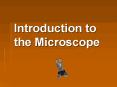 stereoscope a.k.a. dissection scope scanning electron