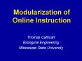 Modularization of Online Instruction