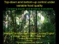 Topdown and bottomup control under variable food quality Comparing aquatic and terrestrial ecosystem