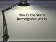 crime scene investigation