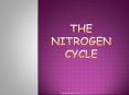 Science 9 - Nitrogen Cycle