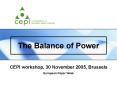 The European pulp and paper industry and forests Safeguarding wood availability