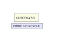 GLYCOLYSIS