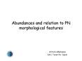 Abundances and relation to PN morphological features