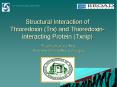 Structural Interaction of Thioredoxin Trx and Thioredoxininteracting Protein Txnip