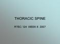 THORACIC SPINE