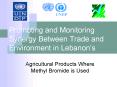 Promoting and Monitoring Synergy Between Trade and Environment in Lebanons