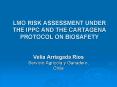 LMO RISK ASSESSMENT UNDER THE IPPC AND THE CARTAGENA PROTOCOL ON BIOSAFETY