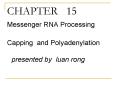 Messenger RNA Processing