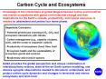 Carbon Cycle and Ecosystems