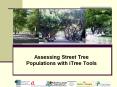 Assessing Street Tree Populations with iTree Tools