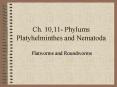 Ch. 10,11 Phylums Platyhelminthes and Nematoda