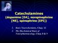 Catecholamines dopamine DA, norepinephrine NE, epinephrine EPI