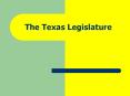 The Texas Legislature