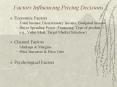 Factors Influencing Pricing Decisions