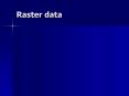 Raster data