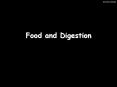 Food and Digestion