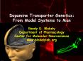 Dopamine Transporter Genetics: