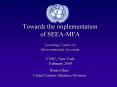 Towards the implementation of SEEAMFA Learning Centre on Environmental Accounts UNSC, New York Febru