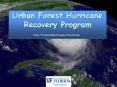 Urban Forest Hurricane Recovery Program