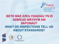 BETH MAE AROLYGIADAU YN EI DDWEUD WRTHYM AM SAFONAU WHAT DO INSPECTIONS TELL US ABOUT STANDARDS