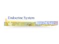 Endocrine System
