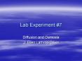 Lab Experiment