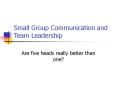 Small Group Communication and Team Leadership