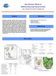 New Urbanism: Effects on