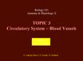TOPIC 3 Circulatory System 